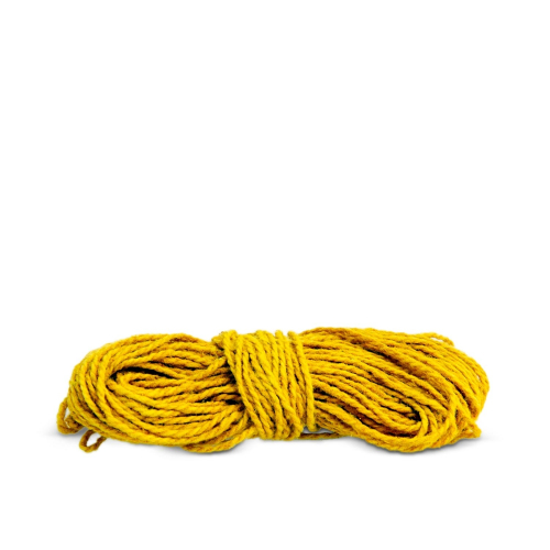 Sannidhi Sutra (Big)