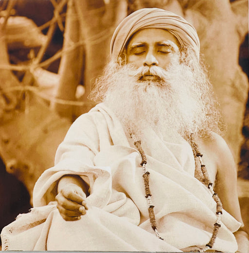 Sadhguru Photo - 6x6 (With Frame)