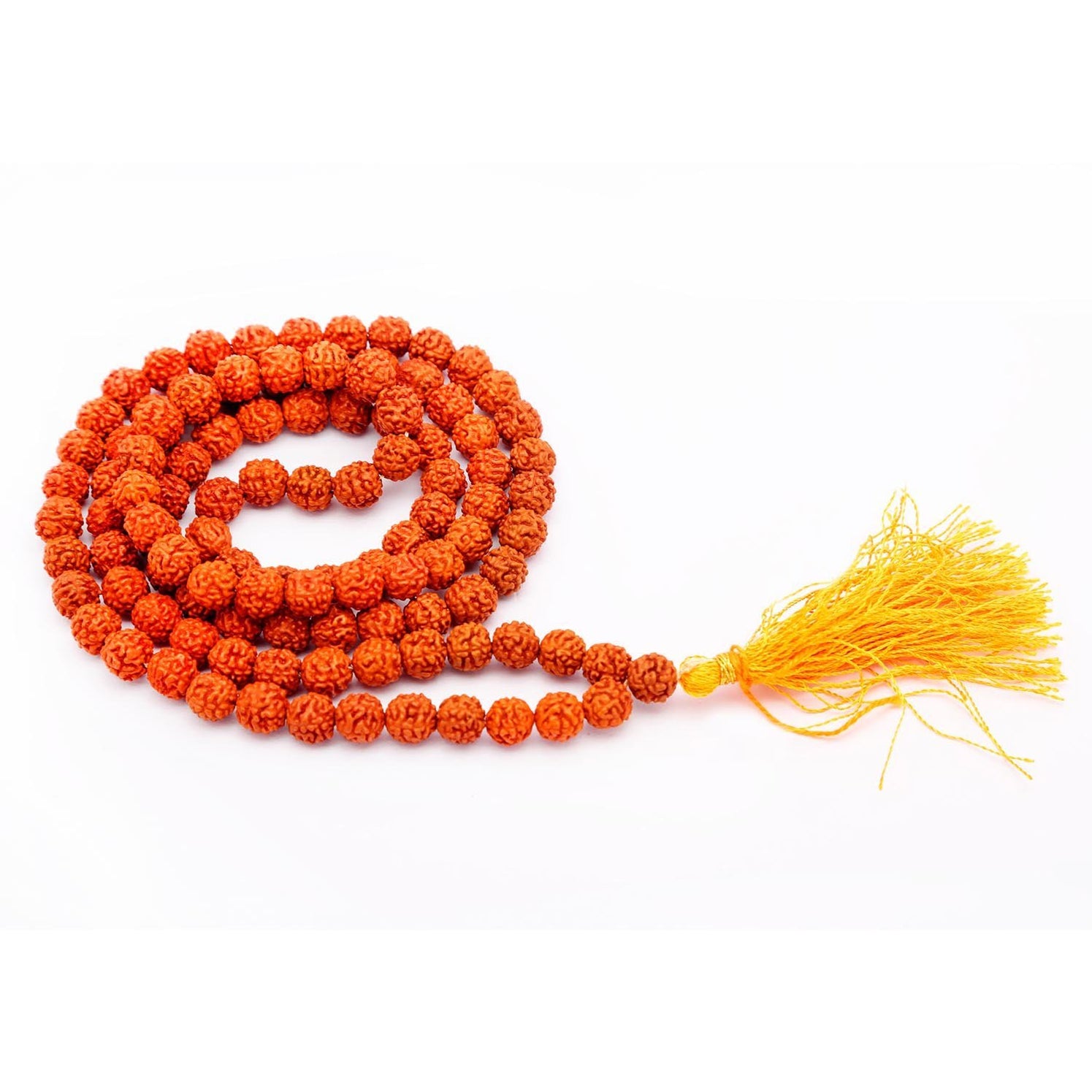 Rudraksha & Consecrated